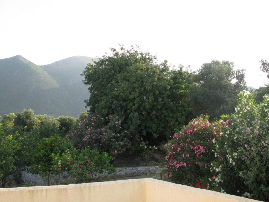 Skoutari Beach Hotel Room photo